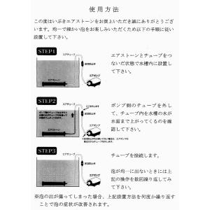 エアーストーン いぶきエアストーン パッケージ...の詳細画像2