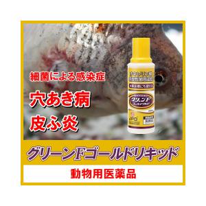 動物用医薬品 観賞魚用魚病薬 ニチドウ グリー...の詳細画像3