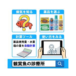 動物用医薬品 観賞魚用魚病薬 ニチドウ グリー...の詳細画像4