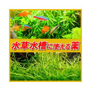 動物用医薬品 観賞魚用魚病薬 ニチドウ グリー...の詳細画像4