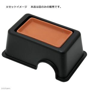 ビバリア ハイドロボックス用ディッシュの詳細画像2