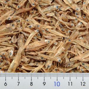 テトラ アンチョビ 32g カメ おやつ 補助...の詳細画像1