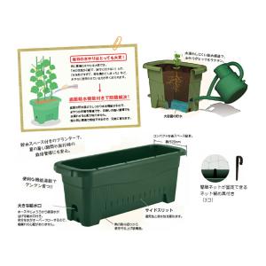 プランター リッチェル 水ラク緑のカーテンプラ...の詳細画像1