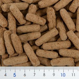 キョーリン ひかりベルツノ 40g カエル 餌...の詳細画像1