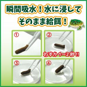 キョーリン ひかりベルツノ 40g カエル 餌...の詳細画像5