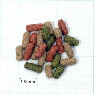 キョーリン ひかりクレスト タートル 52g ...の詳細画像1