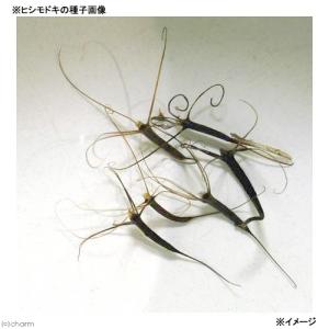 (ビオトープ)水生植物 ヒシモドキ(無農薬)(...の詳細画像1