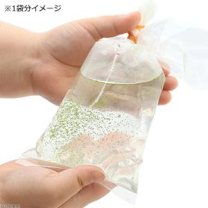 (浮草)メダカが喜ぶ天然フード ミジンコウキク...の詳細画像2