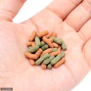 コメット カメの主食 65g 浮上性 餌 エサの詳細画像1
