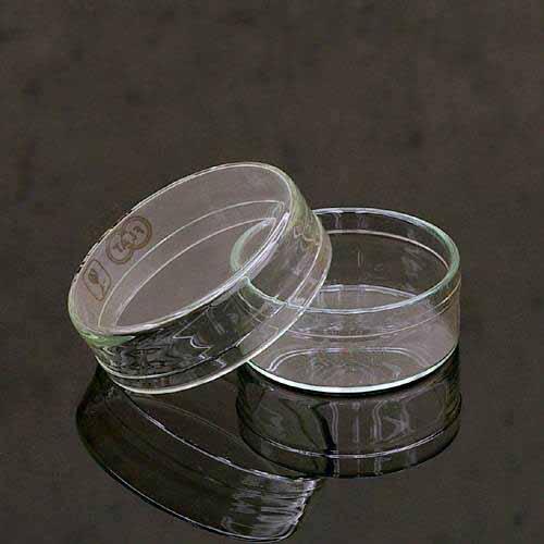 ガラス製　フラットシャーレ　４６ｍｍ　昆虫　標本用品