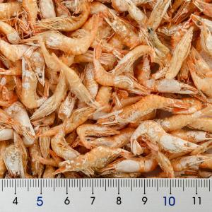 キョーリン 乾燥川エビ カメのごほうび 12g...の詳細画像1