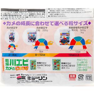 キョーリン おおきなカメのエサ 特大粒 500...の詳細画像3