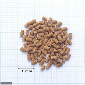 キョーリン イキイキザリガニ 40g 飼育 餌...の詳細画像1