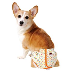 犬 おむつ ペティオ 老犬介護用 紙おむつカバ...の詳細画像1