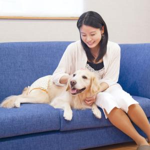 犬 おむつ ペティオ 老犬介護用 紙おむつカバ...の詳細画像2