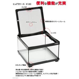 爬虫類ケージ コトブキ工芸 ヒュドラケース 3...の詳細画像1