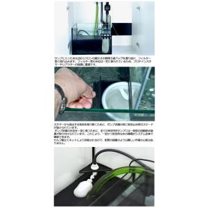 オーバーフロー水槽 レッドシー REEFER ...の詳細画像3