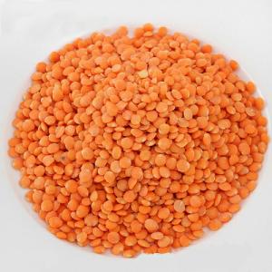 赤レンズ豆 100g 爬虫類のおやつ 爬虫類 ...の詳細画像1