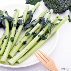 国産 ブロッコリーの葉の茎チップ 50g 小動...の詳細画像4