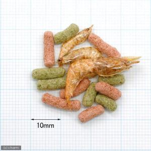 コメット カメサクッ 34g 餌 エサの詳細画像1