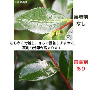 住友化学園芸 展着剤 ダイン 100mLの詳細画像2