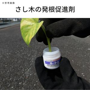 住友化学園芸 植物成長調整剤 ルートン 15gの詳細画像2