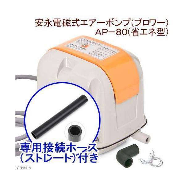 安永電磁式エアーポンプ（ブロワー）　ＡＰ−８０Ｇ（省エネ型）　１２０ｃｍ以上水槽用＋接続ホース（スト...