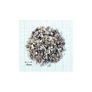 Ｎｏ．２３　Ｂｌｉｚｚａｒｄ（ブリザード）　３リットル（３０ｃｍ水槽用）　お一人様４点限り