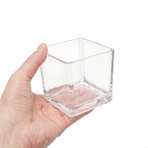 ブロックグラス L エアプランツ 多肉植物 テ...の詳細画像1