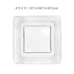 ブロックグラス L エアプランツ 多肉植物 テ...の詳細画像2