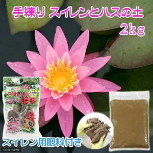 （ビオトープ）水生植物　スイレンとハスの土　スイレン用肥料付き