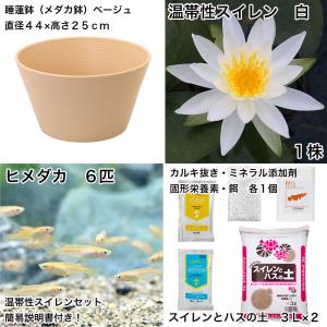 (ビオトープ)(めだか)初心者向け 睡蓮鉢で育...の詳細画像1