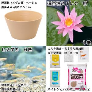 (ビオトープ)(めだか)初心者向け 睡蓮鉢で育...の詳細画像1