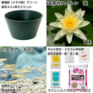 (ビオトープ)(めだか)初心者向け 睡蓮鉢で育...の詳細画像1