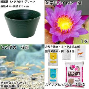 (ビオトープ)(めだか)初心者向け 睡蓮鉢で育...の詳細画像1