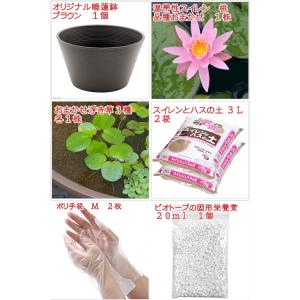 送料無料 ●母の日ギフト●睡蓮鉢(ブラウン) ...の詳細画像1