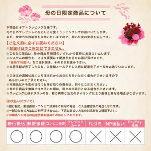 送料無料 ●母の日ギフト●睡蓮鉢(ブラウン) ...の詳細画像2