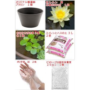 送料無料 ●母の日ギフト●睡蓮鉢(ブラウン) ...の詳細画像1