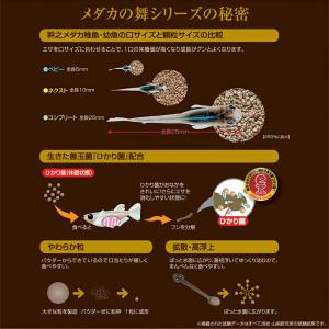 キョーリン メダカの舞 スーパーオレンジ 10...の詳細画像4