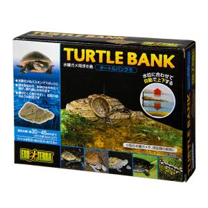 GEX エキゾテラ タートルバンク S 亀 浮島の詳細画像1