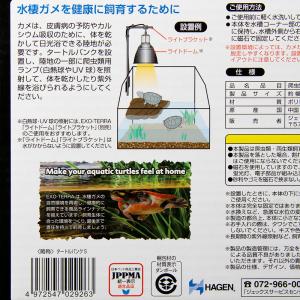 GEX エキゾテラ タートルバンク S 亀 浮島の詳細画像3