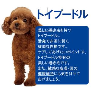 ドッグフード プロマネージ 成犬用 トイプード...の詳細画像1