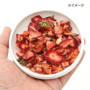 ハムスター おやつ ハムスターの国産いちご 1...の詳細画像2