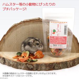 ハムスター おやつ ハムスターの国産いちご 1...の詳細画像3