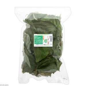 国産 くずの葉 20g お徳用パック 小動物の...の詳細画像1