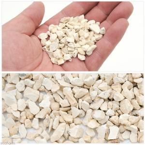 ゼオライトの根腐れ防止剤 1L×5個の詳細画像1