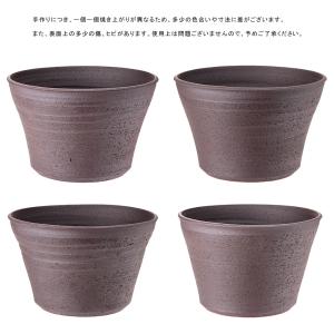 (ビオトープ)(水草)姫睡蓮(ヒメスイレン)(...の詳細画像3