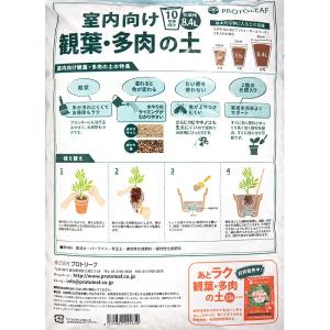 培養土 プロトリーフ 室内向け観葉・多肉の土 ...の詳細画像2