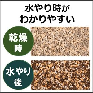 培養土 プロトリーフ 室内向け観葉・多肉の土 ...の詳細画像3