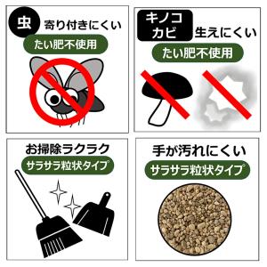 培養土 プロトリーフ 室内向け観葉・多肉の土 ...の詳細画像5